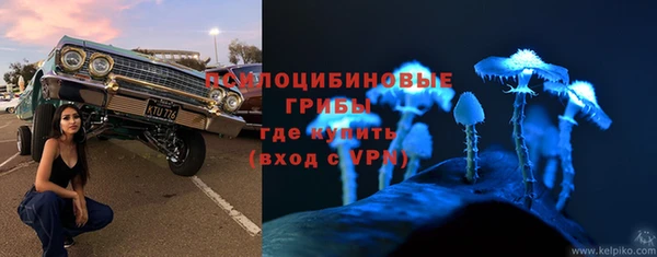 ешки Верхний Тагил