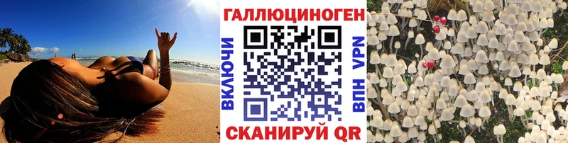 Галлюциногенные грибы мицелий  закладки  Новосиль 